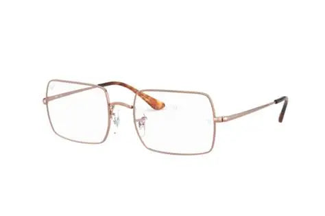 Ray-Ban 1969V