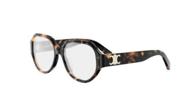 Celine Triomphe 50165I