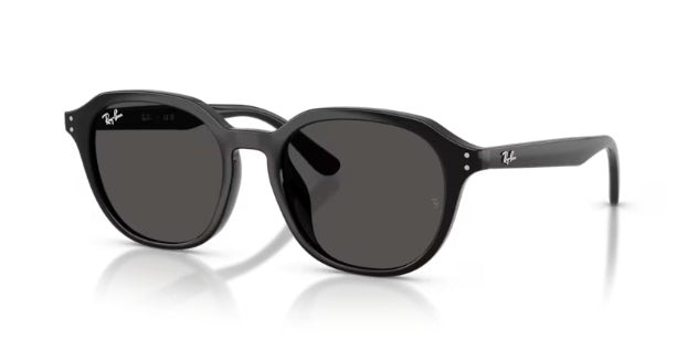 Ray-Ban 4459D Sunglasses