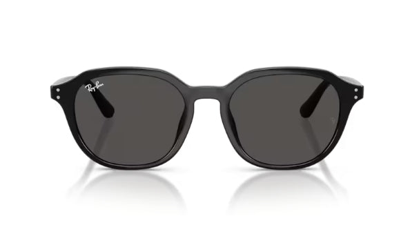 Ray-Ban 4459D Sunglasses