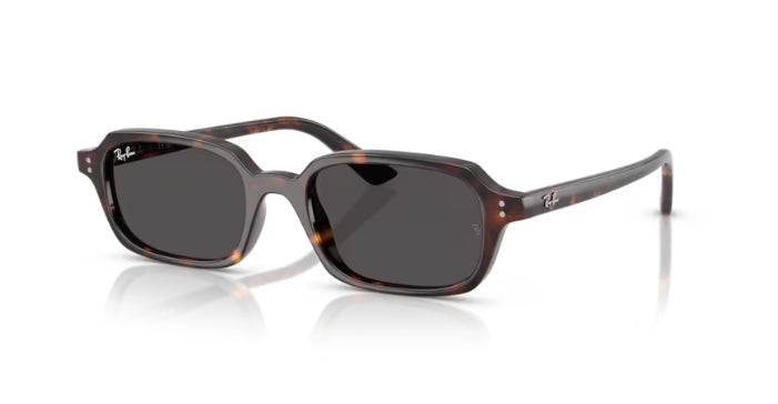 Ray-Ban 4455 Zuri Sunglasses