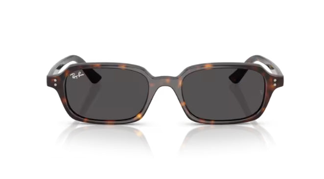 Ray-Ban 4455 Zuri Sunglasses