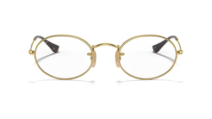 Ray-Ban 3547V